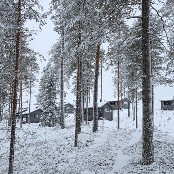 Majoitus Kylmäluomalla