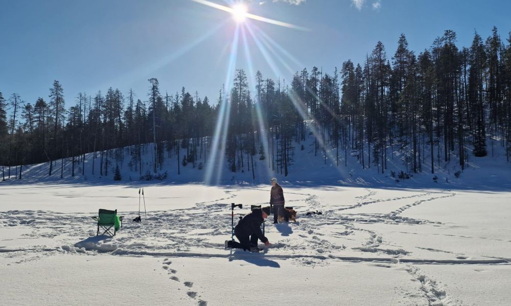 Hossan kansallispuisto pilkillä