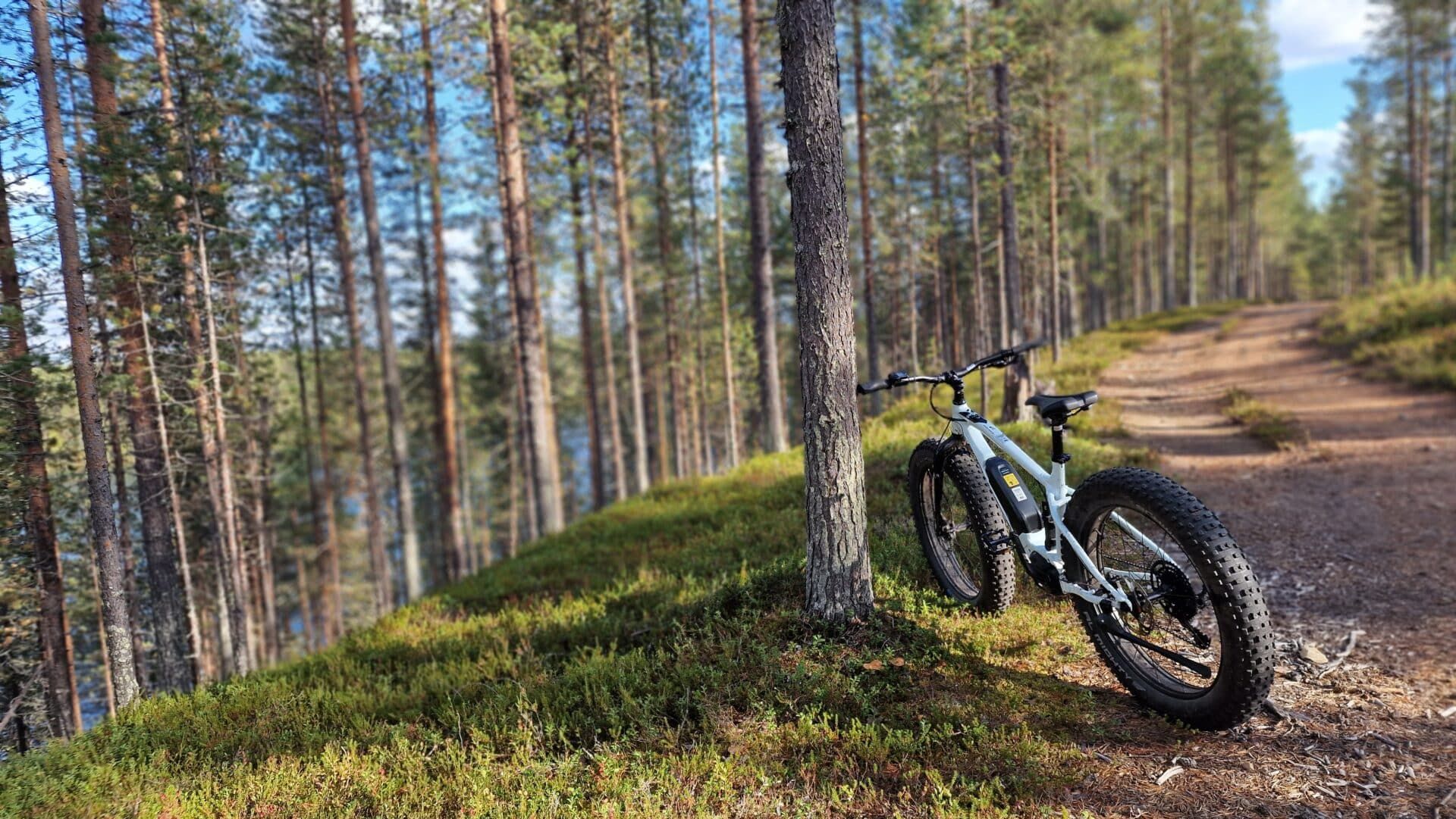 Hossa visitor center, Julma Ölkky, Finland