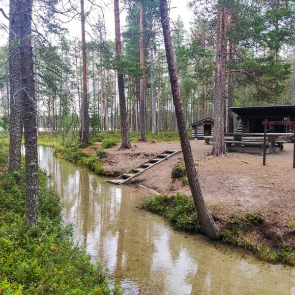 Muikkupuro stream