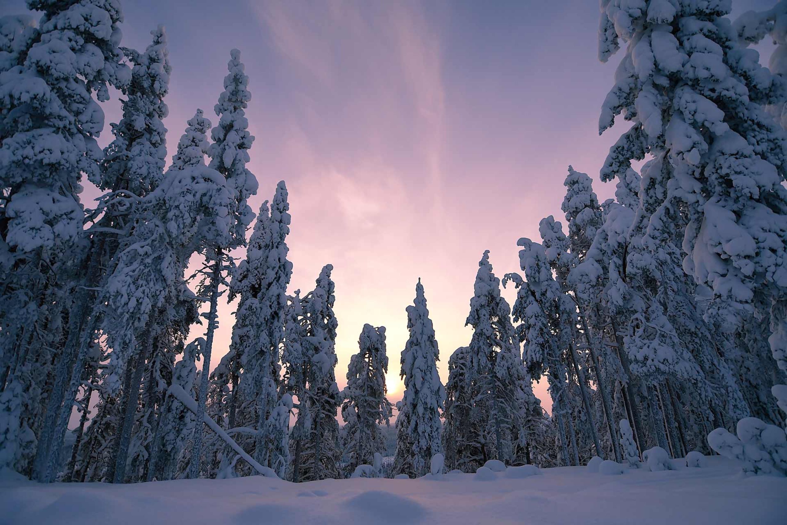 Maastöpyöräilijä järven rannalla