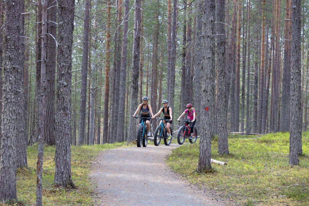 Hossa visitor center, Julma Ölkky, Finland