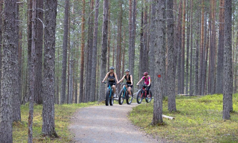 retkeilykeskus Kylmäluoma