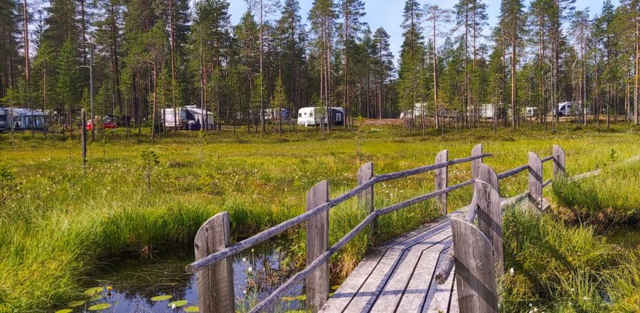 Leirintäalue Kylmäluomalla