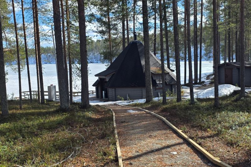 Polku johtaa metsän halki Kylmäluoman kodalle Sarvijärven rannalla keväisessä maisemassa.