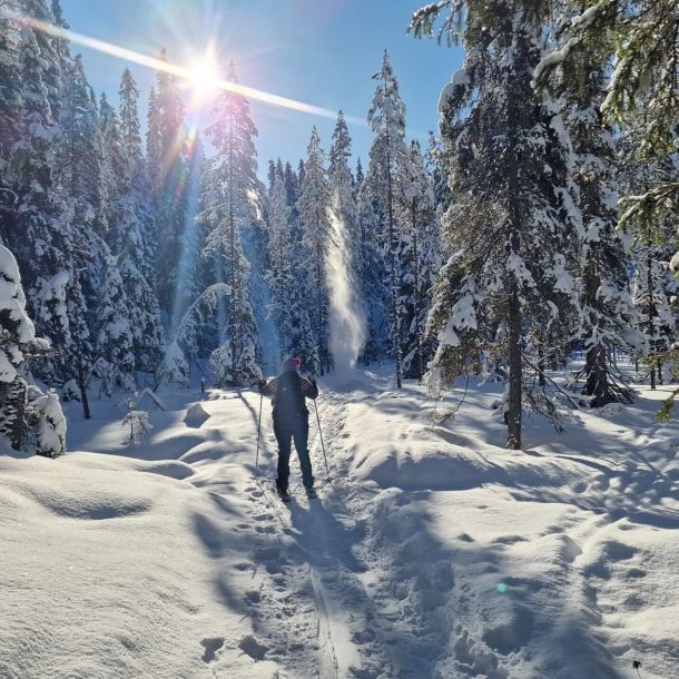 Tekemistä Hossan kansallispuistossa liukulumikenkäily Värikallioille