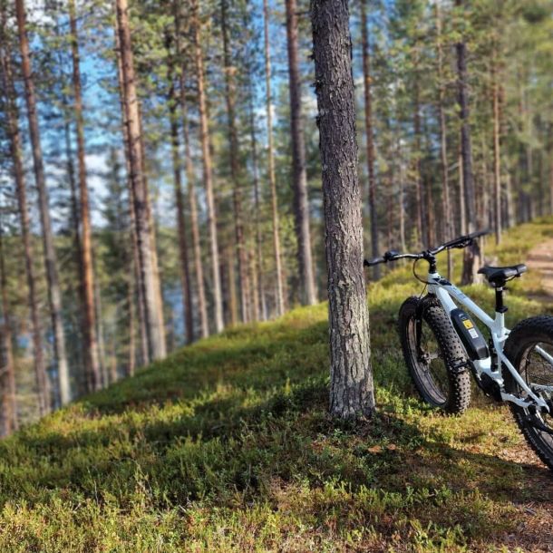 Tekemistä Kylmäluomalla