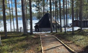 Polku johtaa metsän halki Kylmäluoman kodalle Sarvijärven rannalla keväisessä maisemassa.